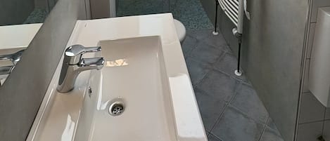 Shower, towels, toilet paper