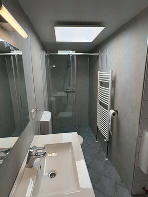 Shower, towels, toilet paper