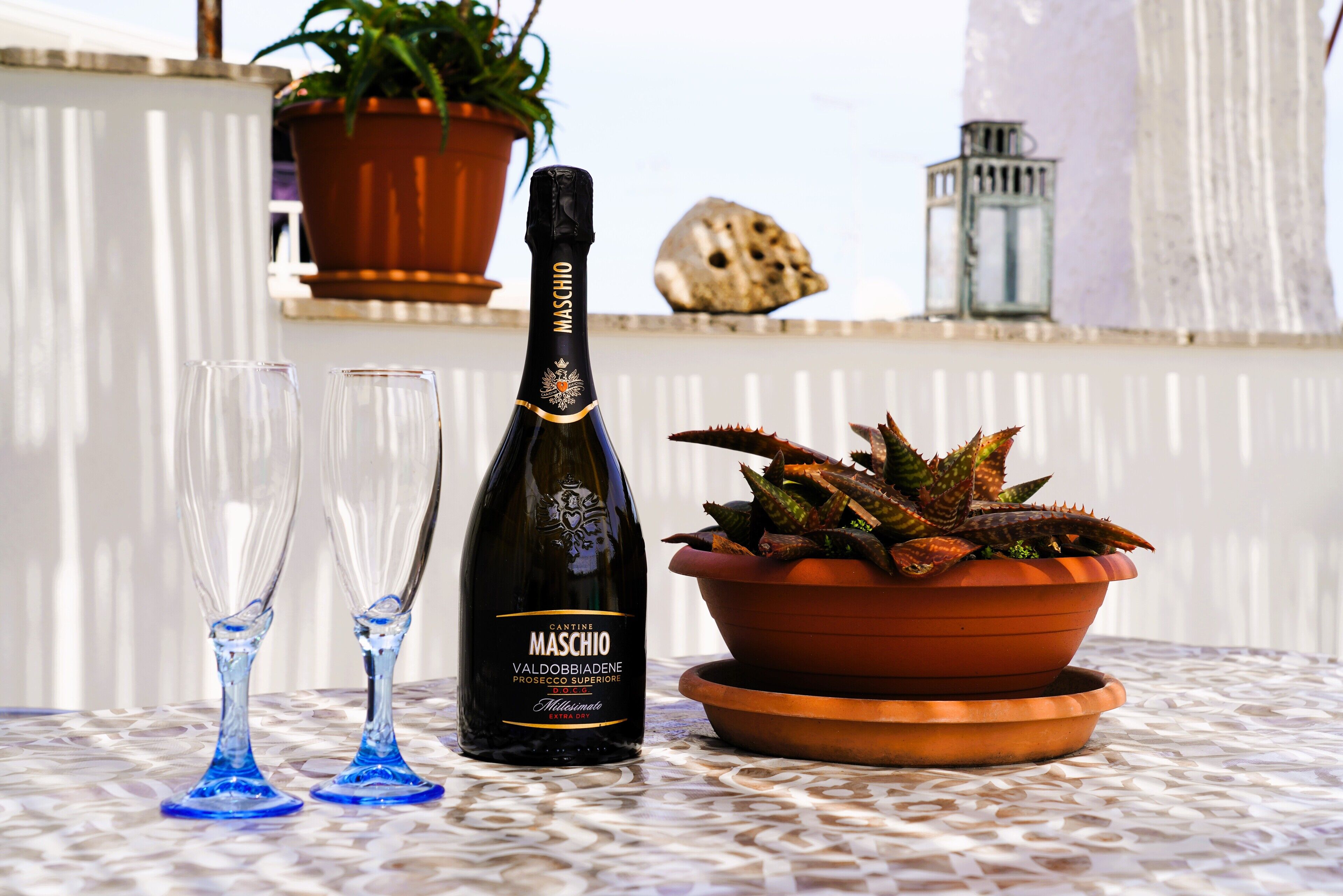 A bottle of Maschio wine, two glasses, and a potted succulent on a table.