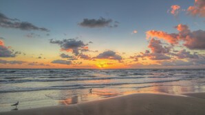 A beach with a sunset, waves, and a bird on the sand. - 10th-floor 3BR Beachfront Condo w/ Views & Pool (South Padre Island)