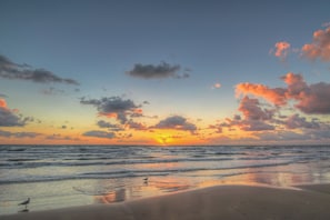 A beach with a sunset, waves, and a bird on the sand. - 10th-floor 3BR Beachfront Condo w/ Views & Pool (South Padre Island)