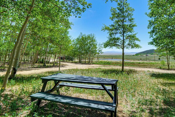 A picnic table in a park with trees and a clear sky. - Fairplay Cabin Mountain Views, Trails, Fishing (Fairplay)