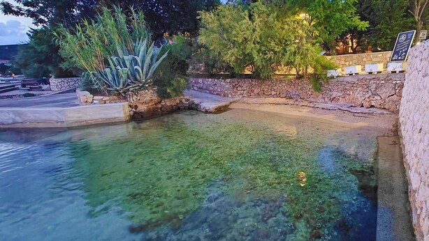 Ein klares Schwimmbecken mit einer Steinmauer und Pflanzen, umgeben von einem gepflasterten Weg und Bänken.