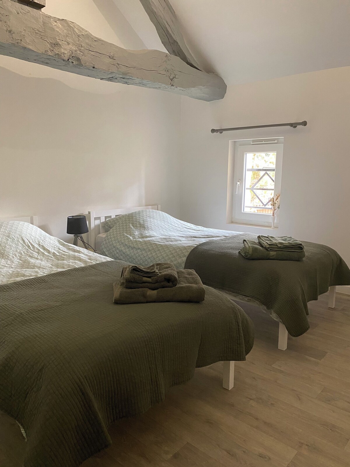 Imagen de perfil del propietario o de la propietaria