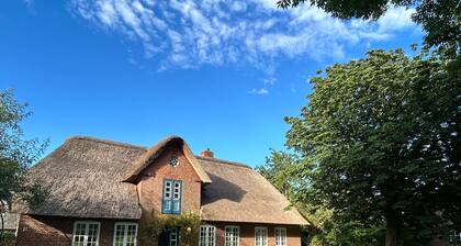 Idyllic house in Alkersum