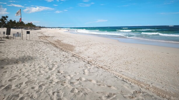A beach with a clear sky, sandy shore, and a few flags. - Apartment Brisa Del Mar Punta Cana (Punta Cana)