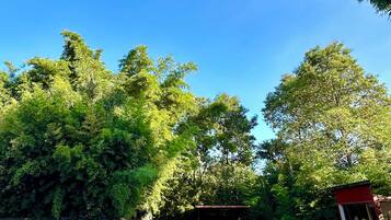 2 albercas al aire libre