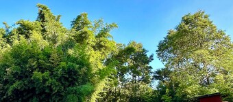 Cabañas Rincón Andaluz