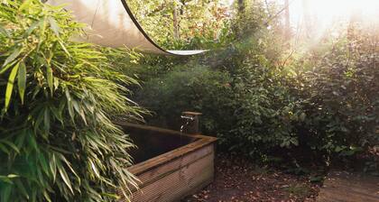 Wellness Hottub Tiny House located in the forest at the Veluwe, close to lake