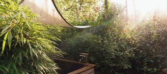 Wellness Hottub Tiny House located in the forest at the Veluwe, close to lake