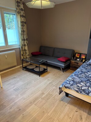Living area - Fully equipped studio  (Mulhouse)