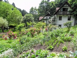 Parco della struttura