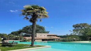 A clear blue swimming pool with a palm tree and a house in the background. - Hameau du Dropt - Périgord - sleeps 6 to 33 (Plaisance)