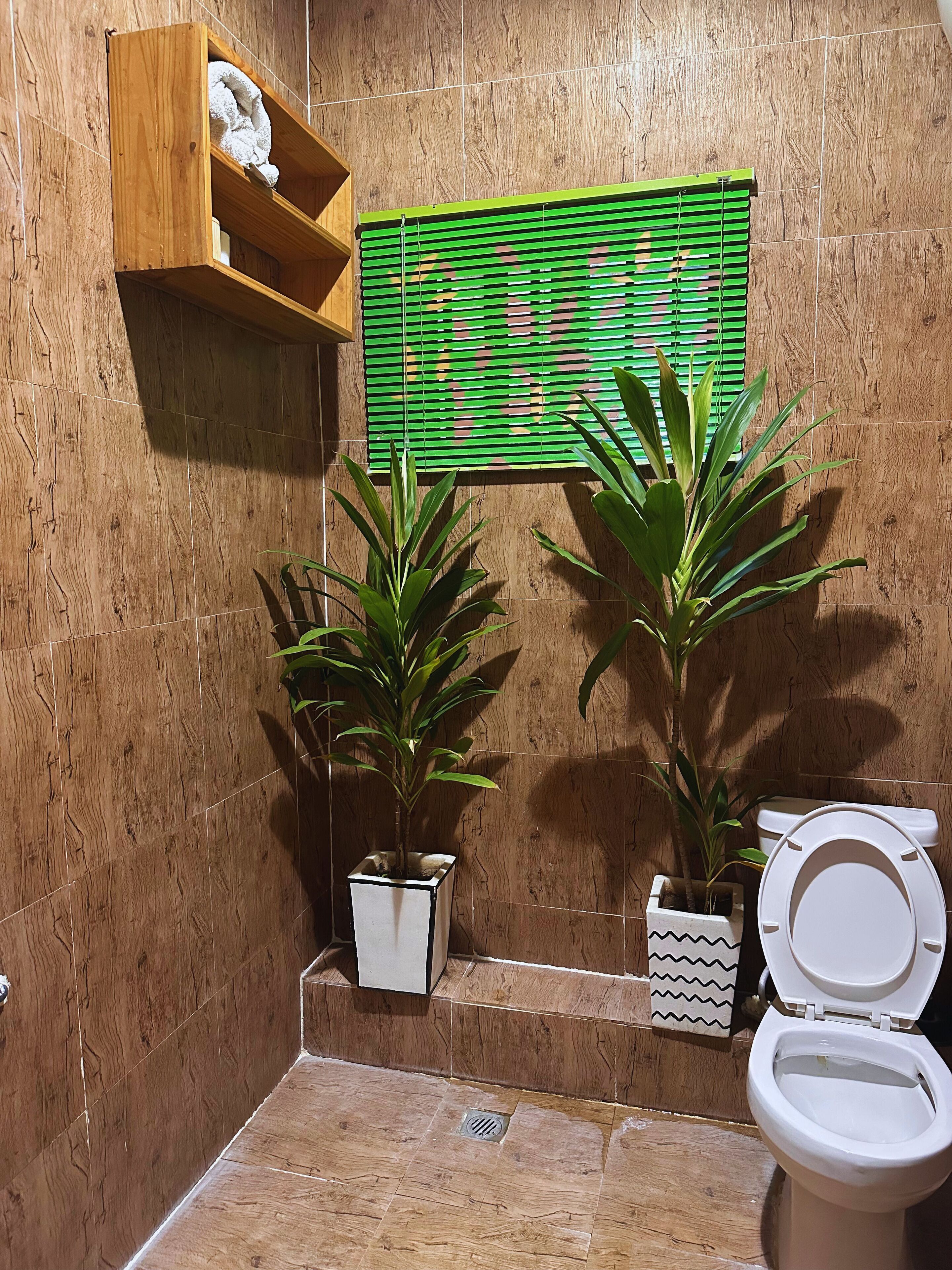 吹风机、毛巾、卫生纸