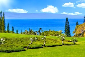 A golf course with a view of the ocean. - Kapalua Ridge | Ocean View 2 BR | Car Incl. w/ 6+ Nights | KRV-2314 by KBM (Lahaina)