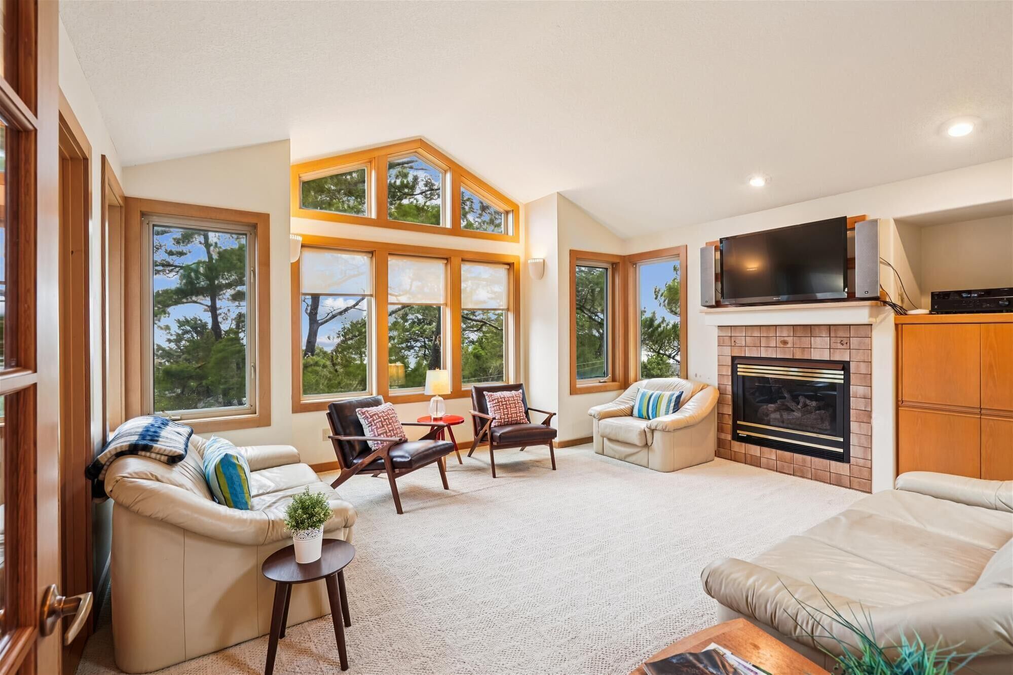 TV, peis, DVD-spiller og bøker