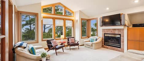 Televisión, chimenea, reproductor de DVD y libros