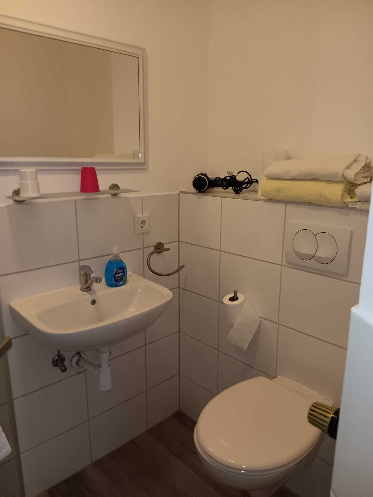 Basic-Doppelzimmer | Badezimmer | Dusche, Handtücher, Toilettenpapier