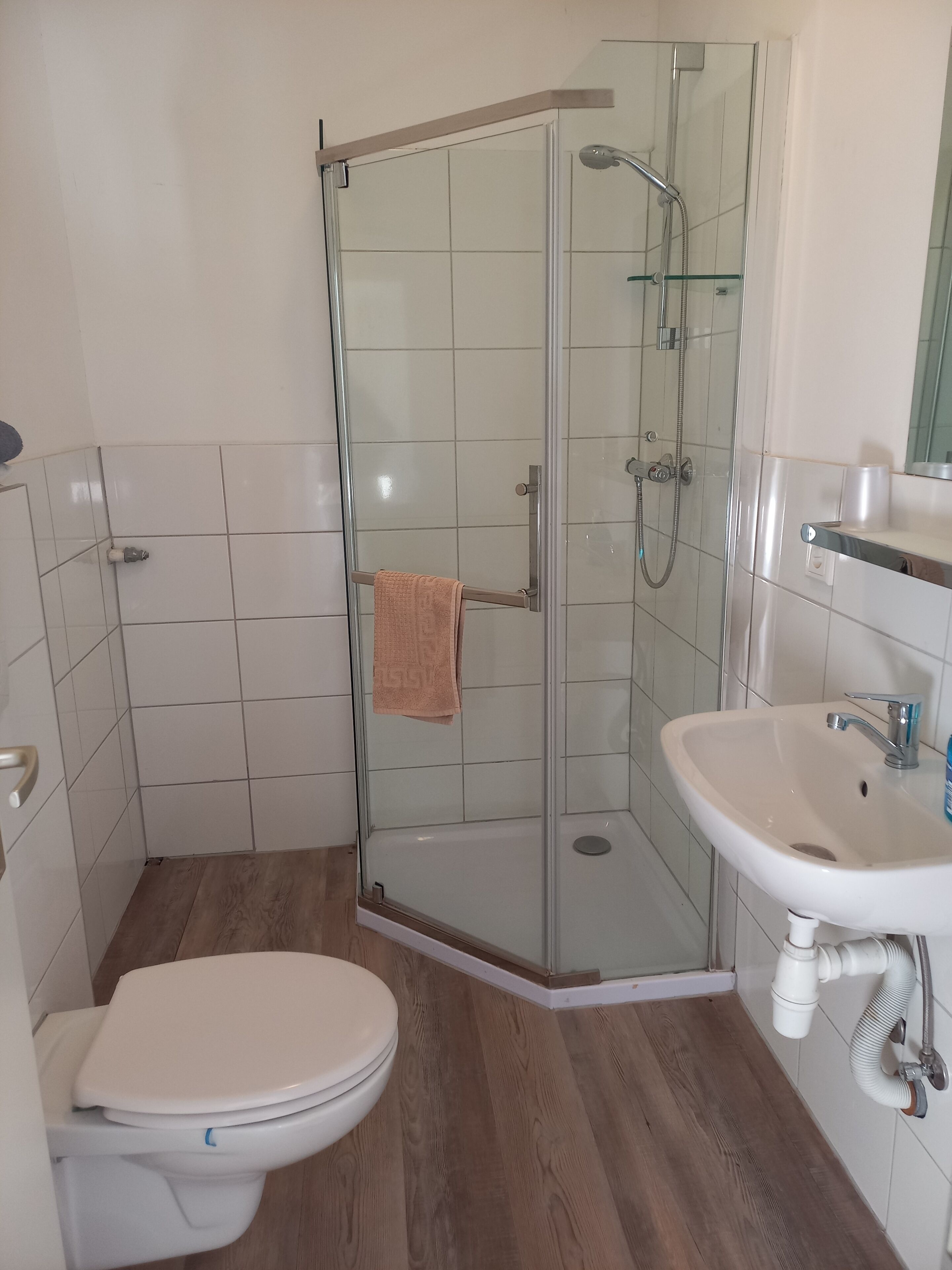 A bathroom with a glass shower enclosure, a white sink, and a toilet.