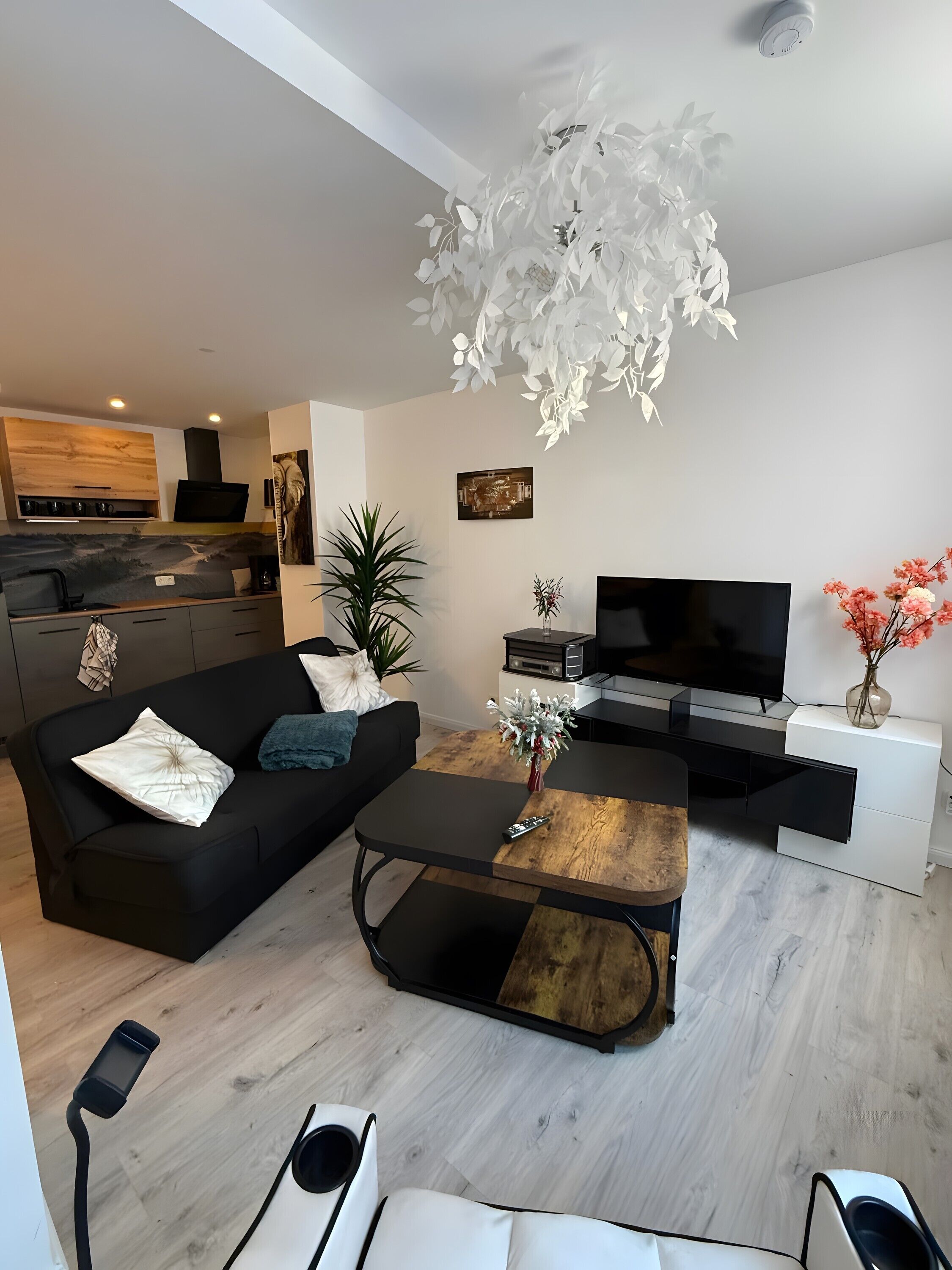 Fernseher, Stereoanlage