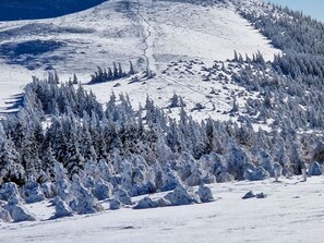 Miscellaneous - Bright Apartment at Ski Slopes, Super Besse (Besse-et-Saint-Anastaise-Super Besse)