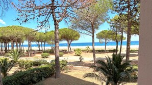 Una zona sulla spiaggia, con alberi e vista sul mare.