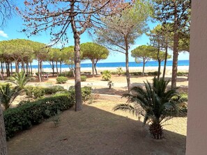 On the beach - T2 Apartment by the Beach in Argelès-sur-Mer (Argelès-sur-Mer)