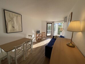 TV - 2-room apartment on the beachfront with terrace - Saint Cyprien Beach (Saint-Cyprien)