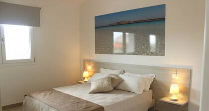 Spacious 40 square meter apartment with independent access via magnetic card. The accommodation includes a fully equipped kitchenette, a living room with a comfortable sofa bed for two, a bedroom with a double bed, and a private bathroom with a shower an