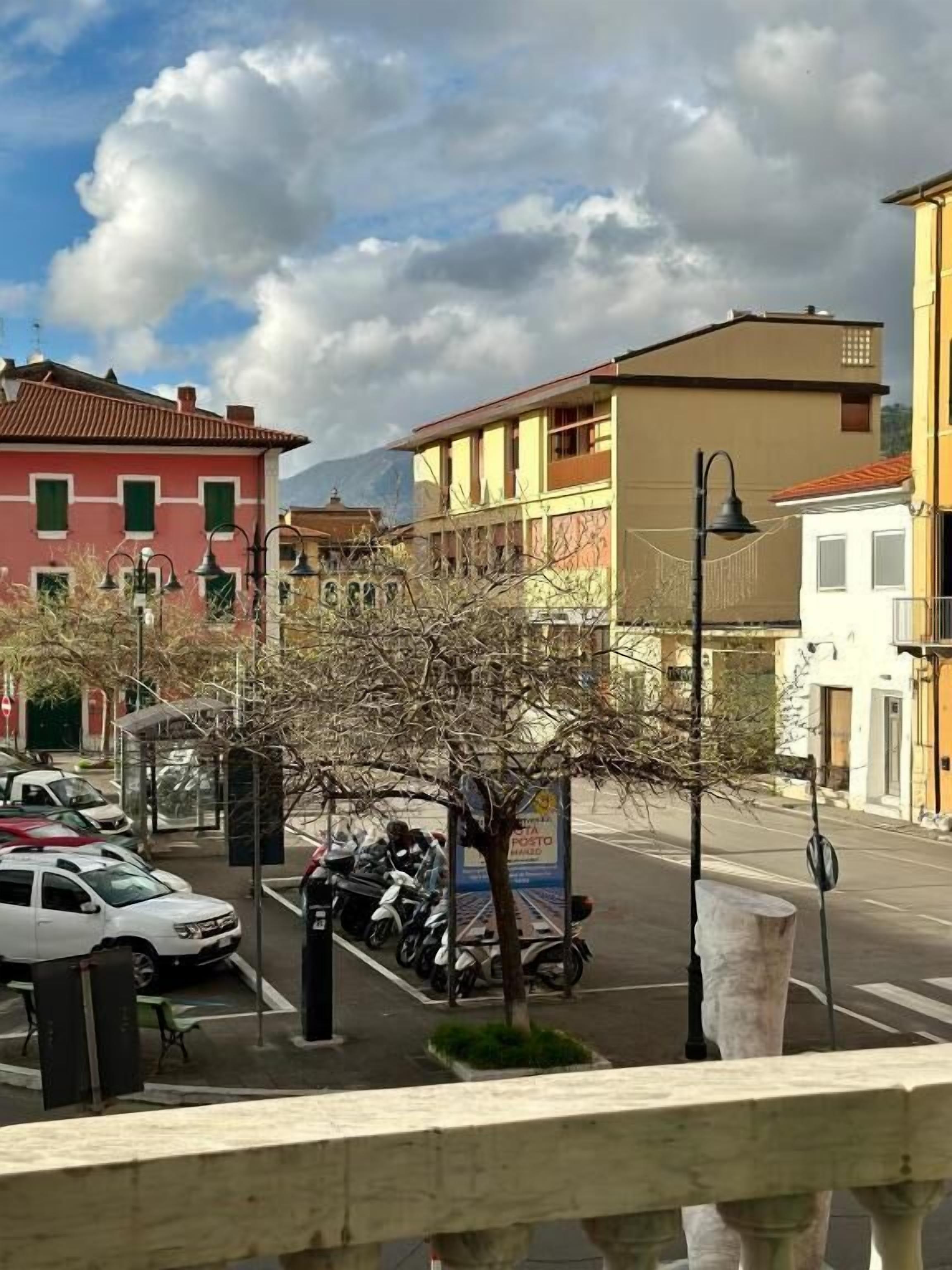 A street view with buildings, parked cars, and a tree in the foreground.