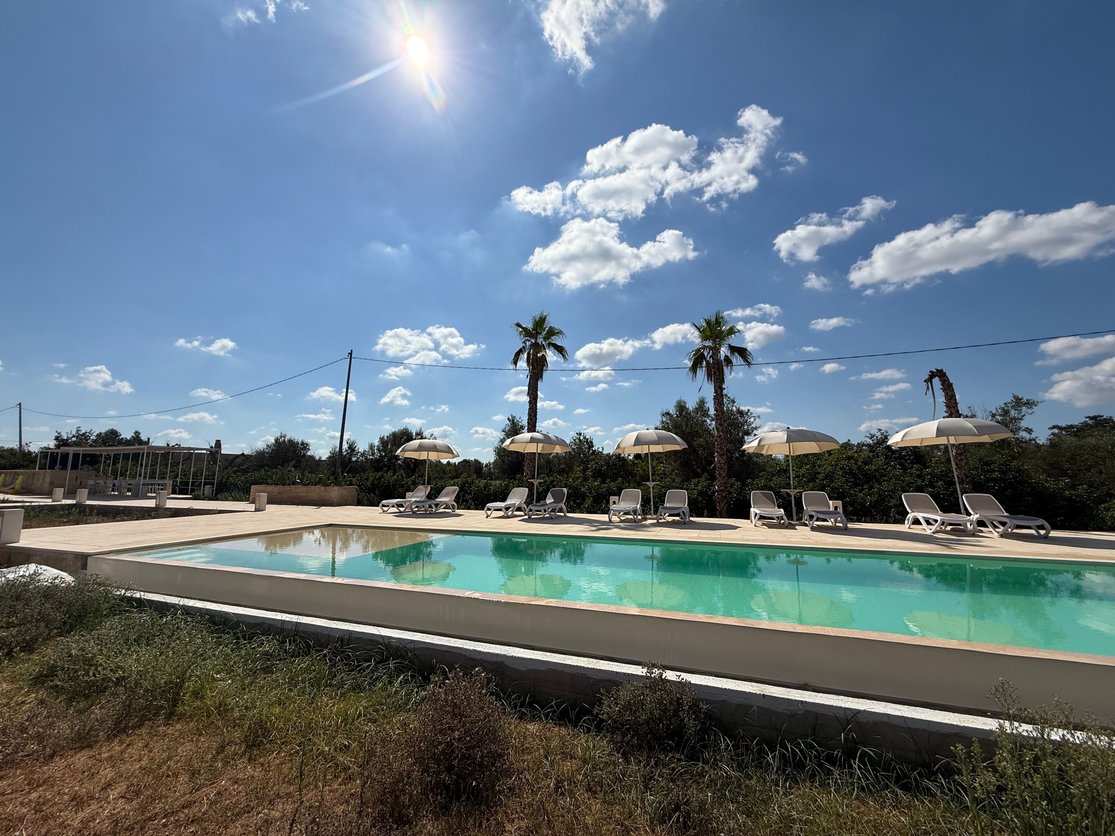 A swimming pool with lounge chairs and umbrellas, surrounded by greenery and palm trees.