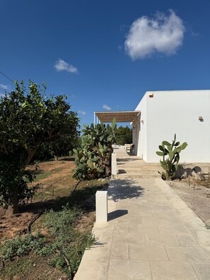 Property grounds - Newly built villa with private pool 7 km from punta della suina. (Matino)