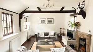 Ein Wohnzimmer mit Kamin, zwei Sofas, einem Couchtisch und einem Fernseher.