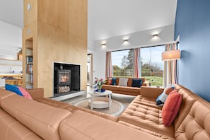 Smart TV, fireplace, books, stereo