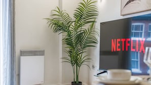 A room with a potted plant, a radiator, and a television with the Netflix logo. - Long stay | 1-Bed Jewellery Quarter Apt | Homely (Birmingham)