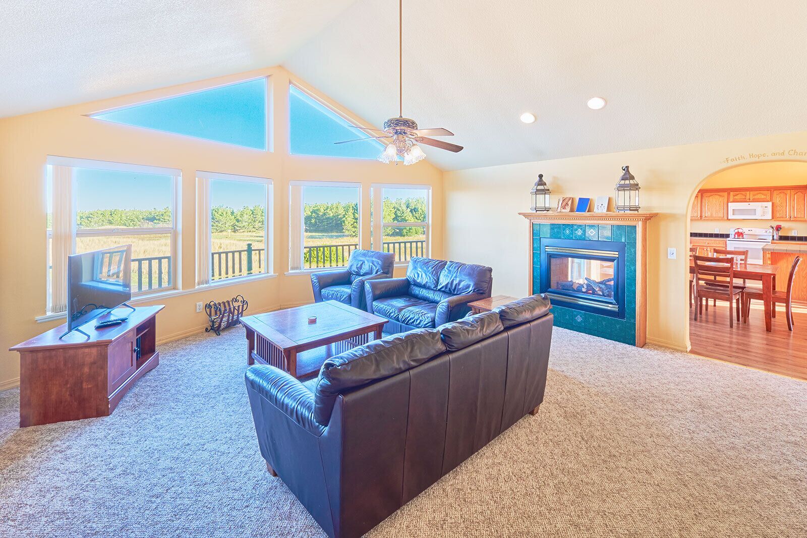 Smart TV, fireplace, books