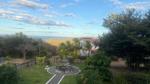 Ein angelegter Garten mit einem zentralen Brunnen, einem gepflasterten Weg und umgebendem Grün.