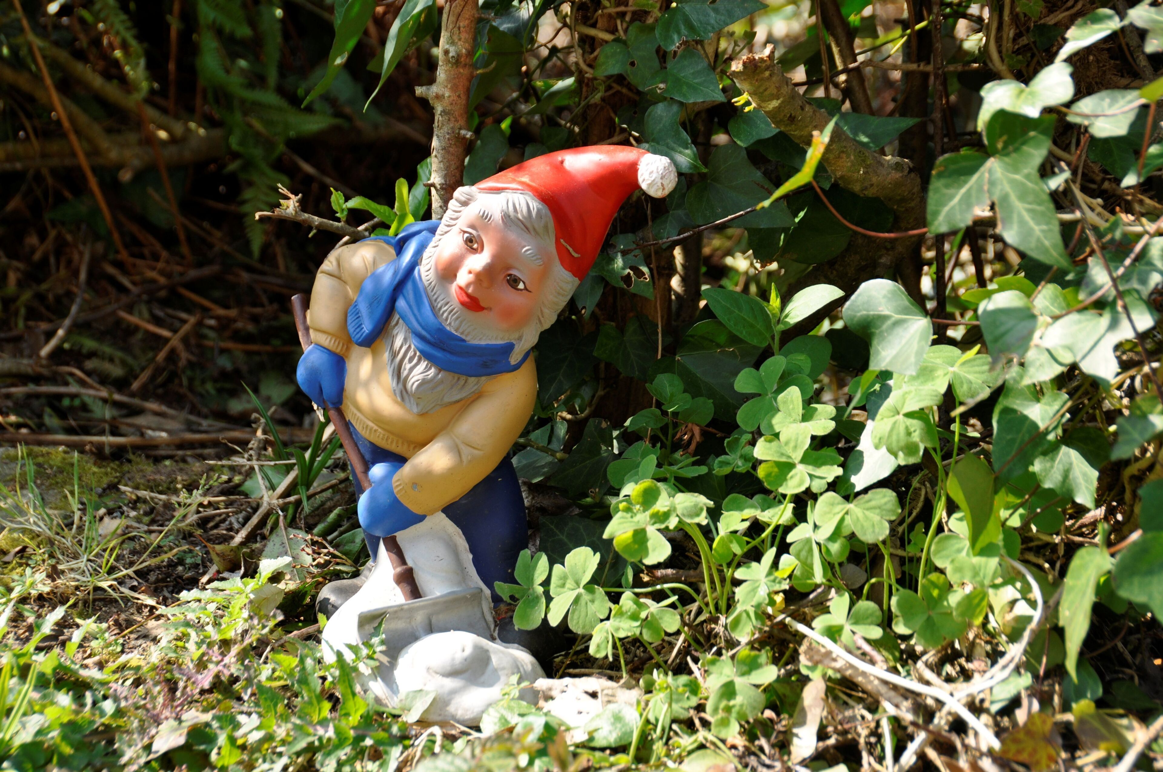 Eine Gartenfigur, ein Zwerg mit roter Mütze und blauem Schal.