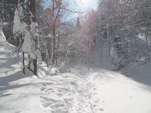 Miscellaneous - Chalet Col de la Faucille (Mijoux)
