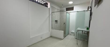 A modern bathroom with a glass shower enclosure, a bathtub, and a sink with a mirror.