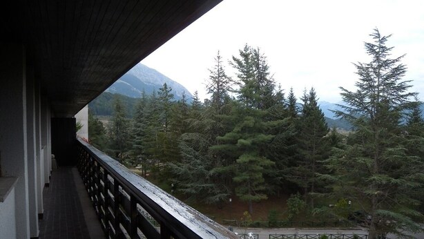 Ein Balkon mit Blick auf eine bewaldete Landschaft und Berge in der Ferne.
