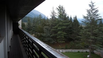 Ein Balkon mit Blick auf eine bewaldete Landschaft und Berge in der Ferne.