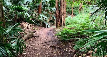 Rawsons Escape Country Comfort by Coledale Beach