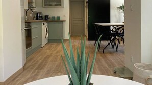 Una cocina moderna con comedor, lavadora y una planta de aloe vera en maceta.