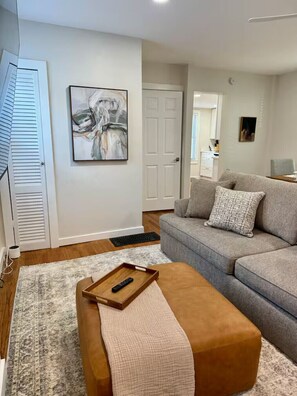 TV - 2-bedroom house in beautiful Ithaca with AC .3 miles from Commons (Ithaca)