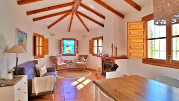 Een televisie en een open haard