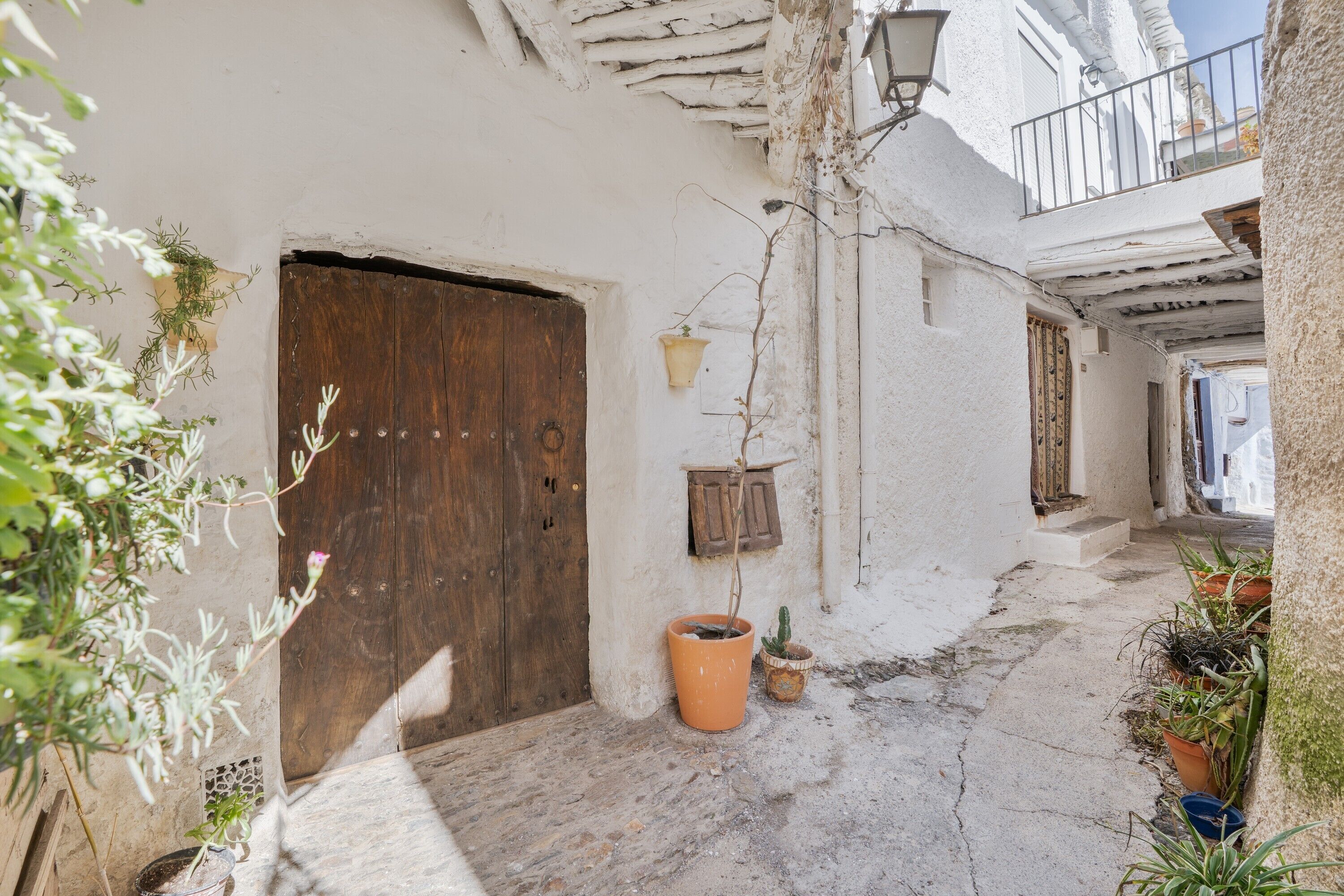 Detalle del exterior