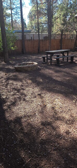 Outdoor dining - 2-bedroom cabin in lovely Lake of the Woods (Lake of the Woods)