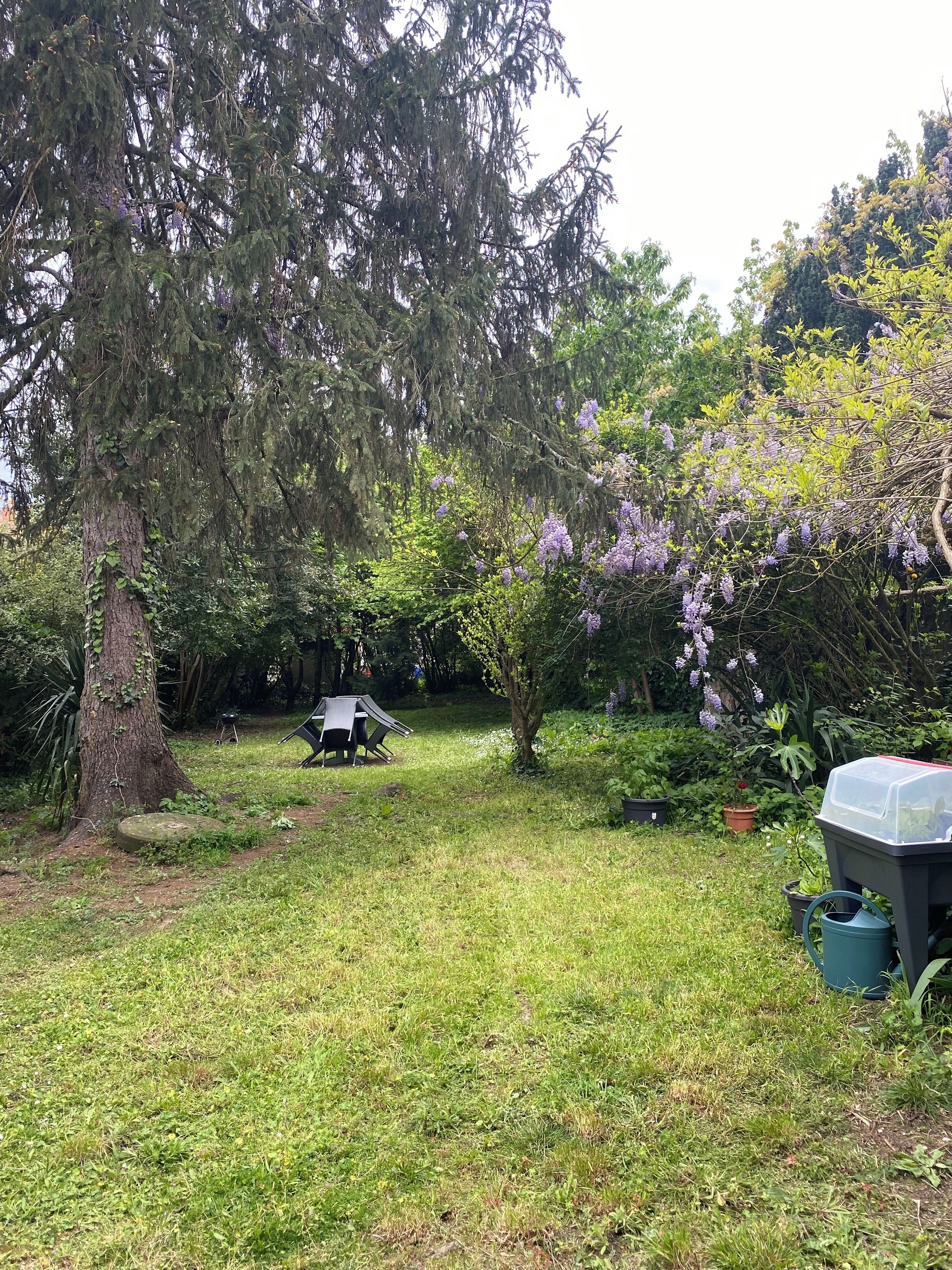 Áreas de la propiedad