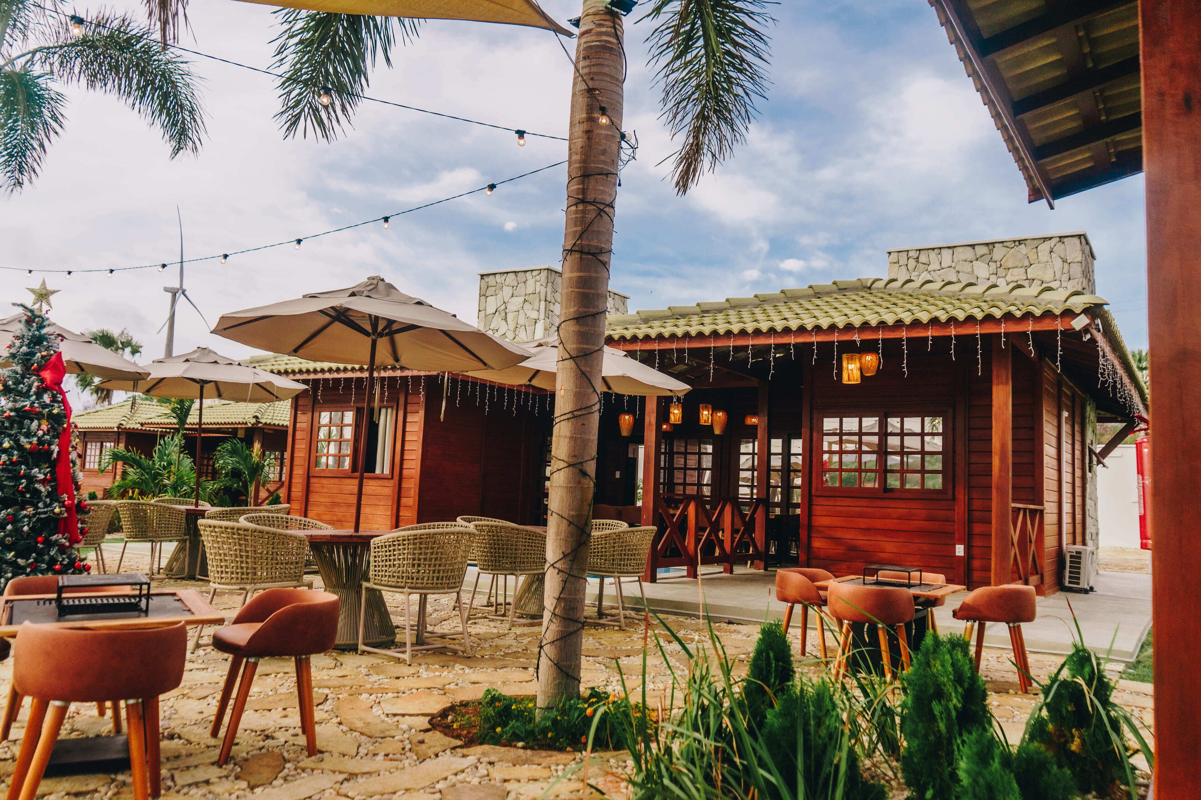 An outdoor seating area with wicker chairs and tables, a palm tree, and string lights.